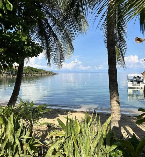 Plage tropicale avec bateau amarré au loin et palmiers
