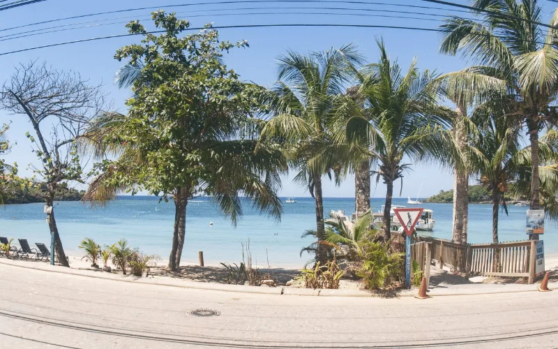 Plage tropicale avec bateaux amarrés et végétation luxuriante au bord de l'eau
