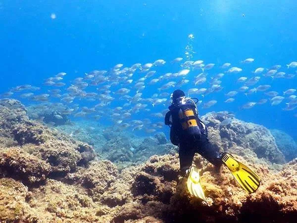 Waterhoppers Diving Schools
