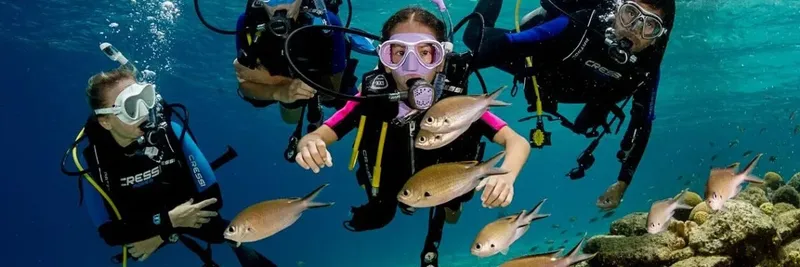 Plongeurs interagissent avec des poissons dans un récif corallien bleu