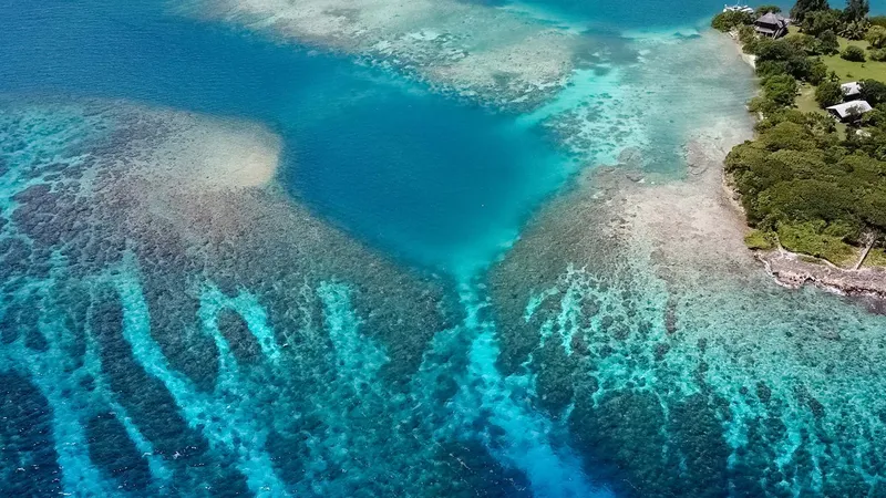 Vue aérienne d'un récif corallien turquoise et d'une côte verdoyante