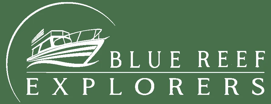 Illustration d'un bateau de plongée blanc sur fond vert avec texte