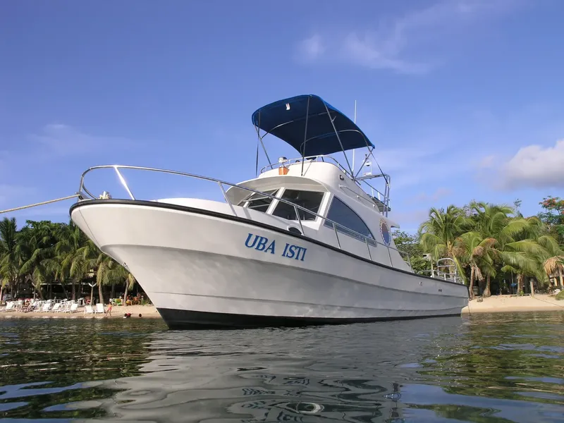 Bateau de plongée blanc et bleu amarré devant une plage tropicale