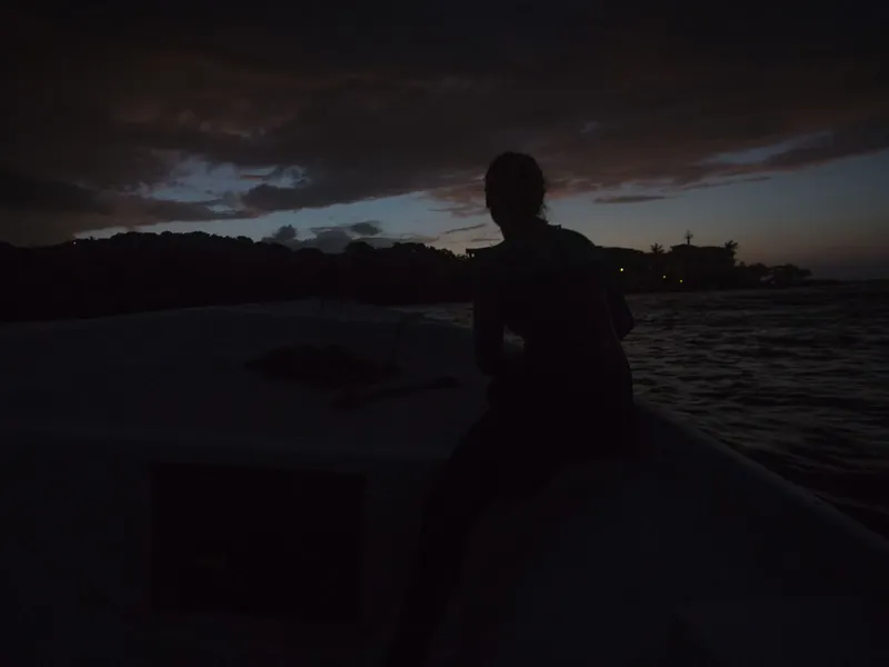 Silhouette d'une personne sur un bateau au coucher du soleil
