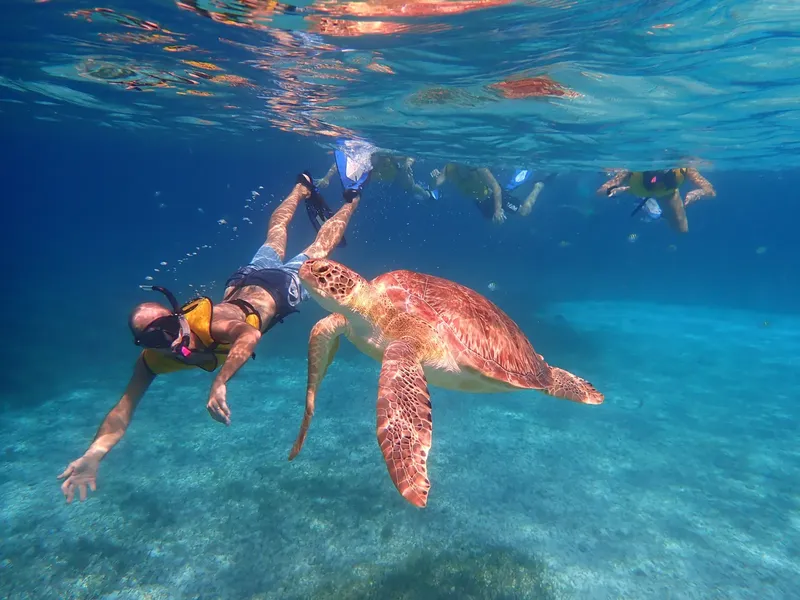 Plongeur nageant avec une tortue de mer dans une eau turquoise claire