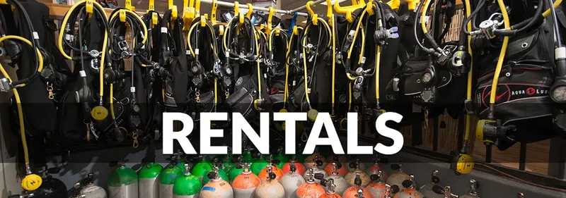 Equipement de plongée complet suspendu et bouteilles colorées pour la location