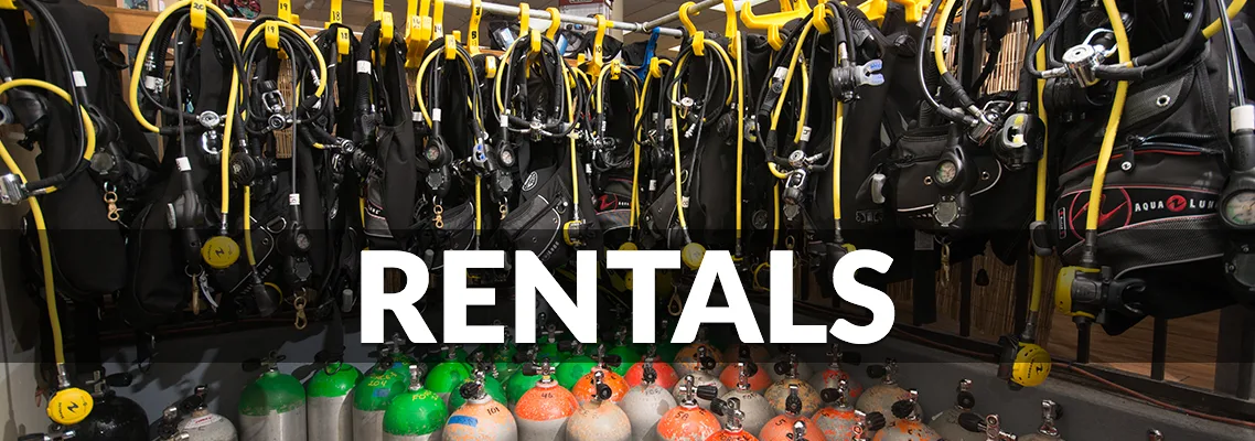 Equipement de plongée complet suspendu et bouteilles colorées pour la location