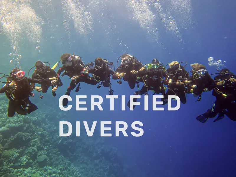 Groupe de plongeurs certifiés évoluant dans une eau claire et ensoleillée