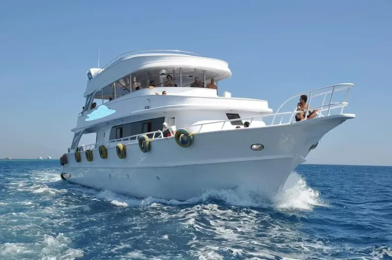 Grand bateau blanc en mer avec des passagers sur le pont