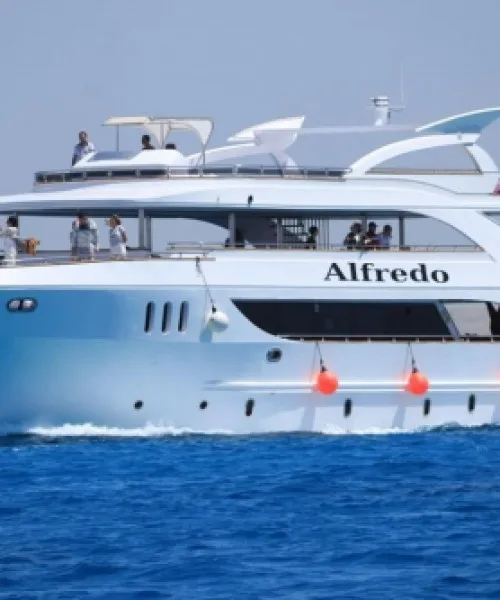 Megalodon Diving Club Sharm El Sheikh