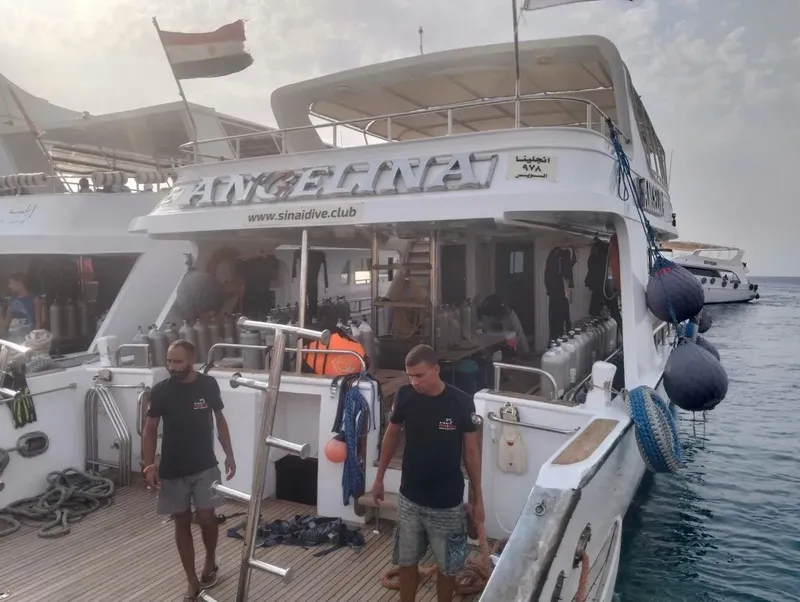 Deux plongeurs se préparent sur le pont d'un bateau de plongée