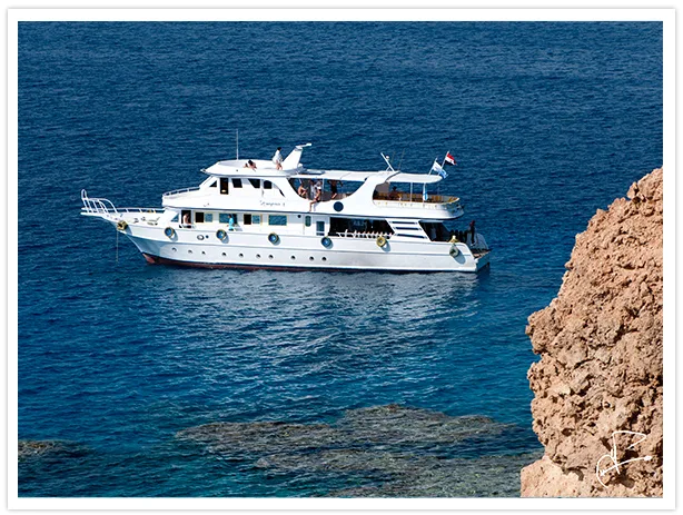 Bateau de plongée blanc sur mer bleue avec des passagers à bord