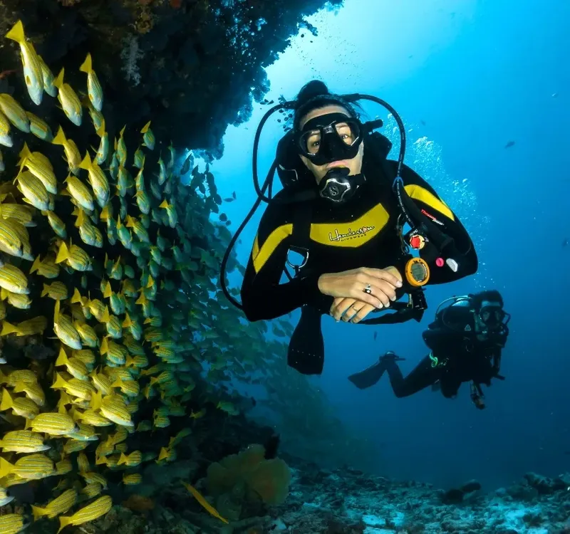 Plongeur évolue au milieu d'un banc de poissons jaunes en mer