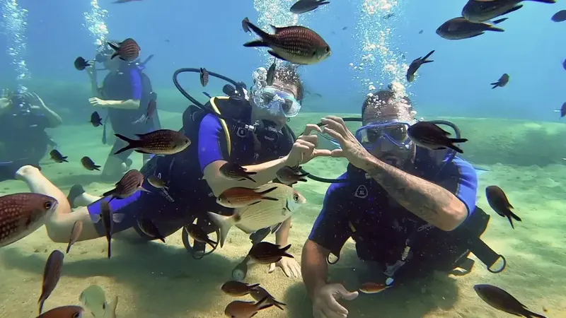 Deux plongeurs interagissent avec un banc de poissons colorés sous l'eau