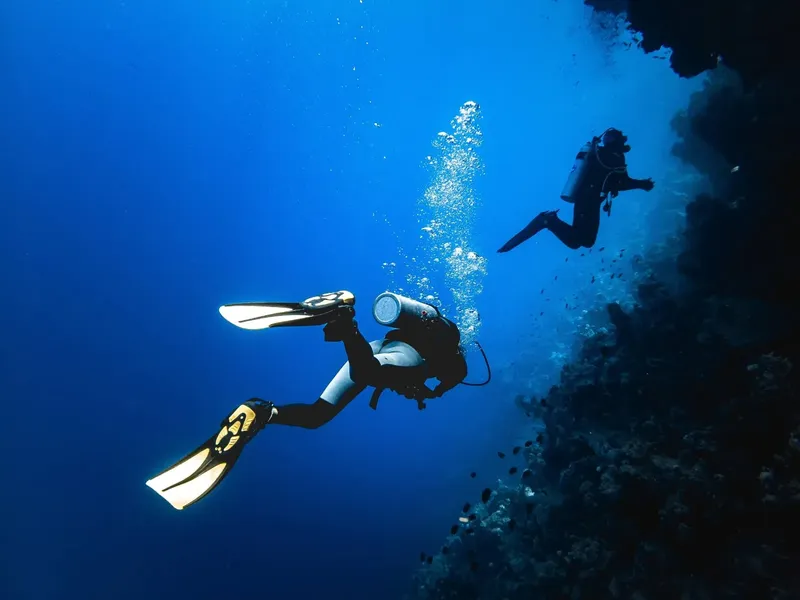 Deux plongeurs explorent un récifal corallien en eau profonde