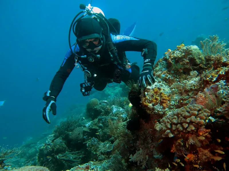 Plongeur explorant un récif corallien coloré en milieu aquatique