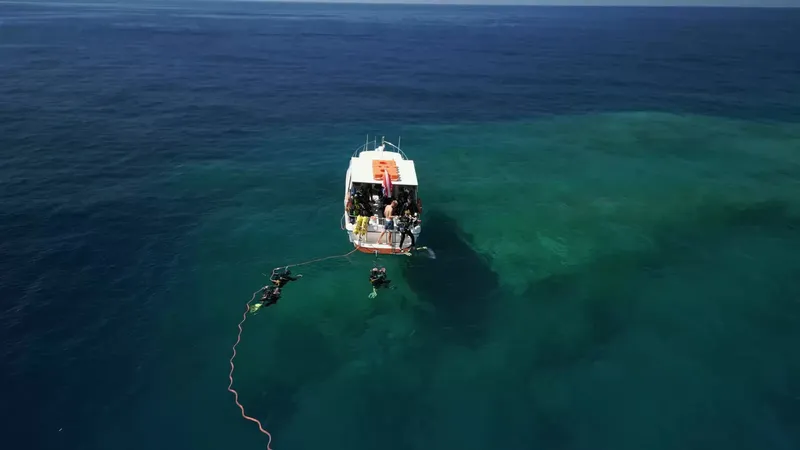 Plongeurs en préparation de descente depuis un bateau en mer