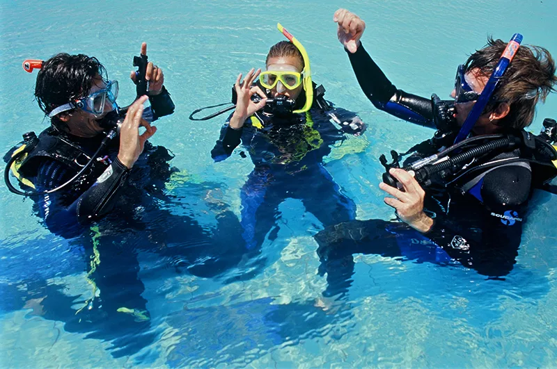 Trois plongeurs en combinaison s'amusent dans une eau turquoise claire