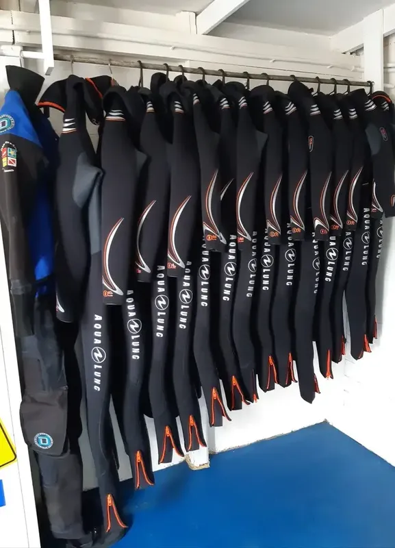 Rangée de palmes Aqualung noires suspendues dans un centre de plongée