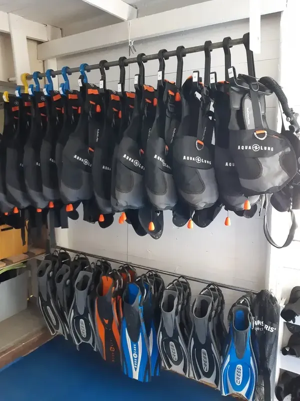 Rangées de palmes et de gilets de sauvetage accrochés au mur