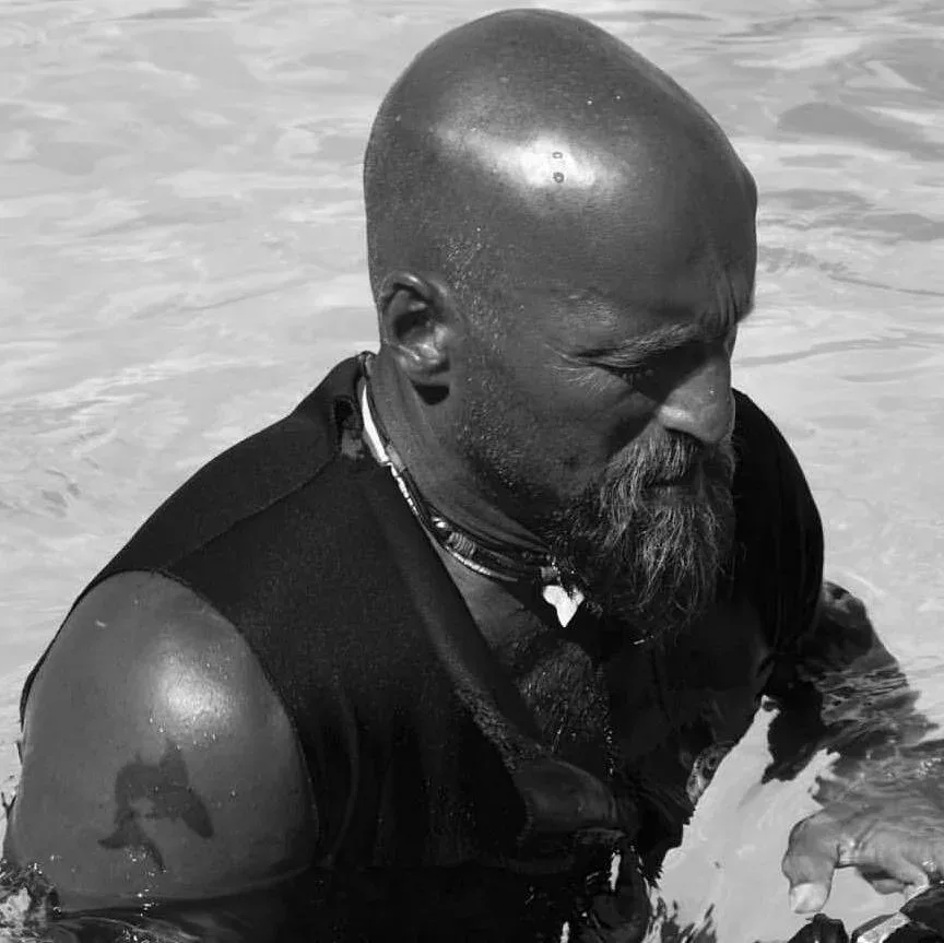 Plongeur barbu émerge à la surface de l'eau, regard pensif