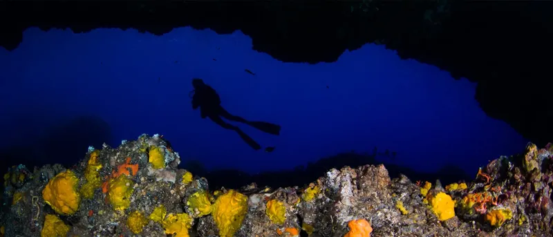 Plongeur silhouette sombre explorant un récif corallien sous l'eau