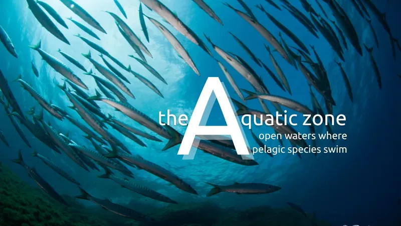 Banc de poissons argentés nageant en formation circulaire dans l'eau bleue