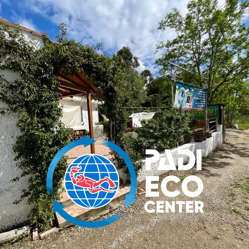 Logo PADI Eco Center avec bâtiment et végétation en arrière-plan