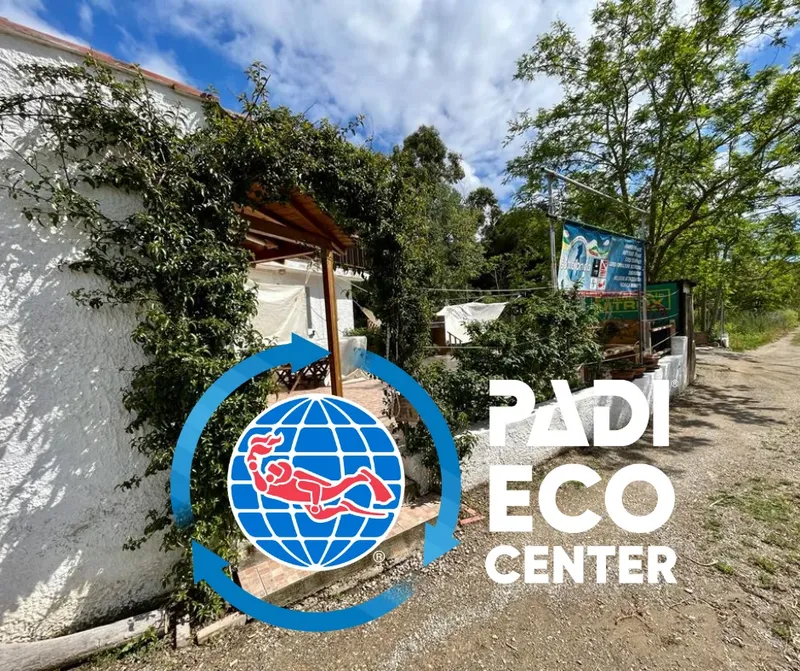 Logo PADI Eco Center avec un globe et des poissons tropicaux