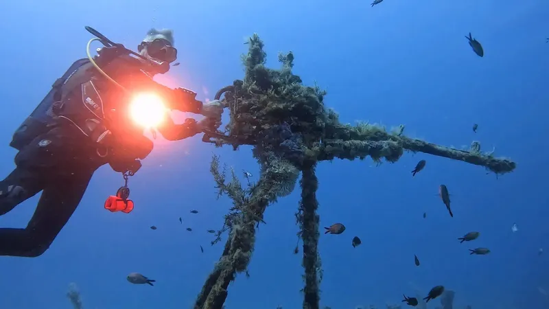Plongeur éclairant une structure métallique colonisée par la faune marine