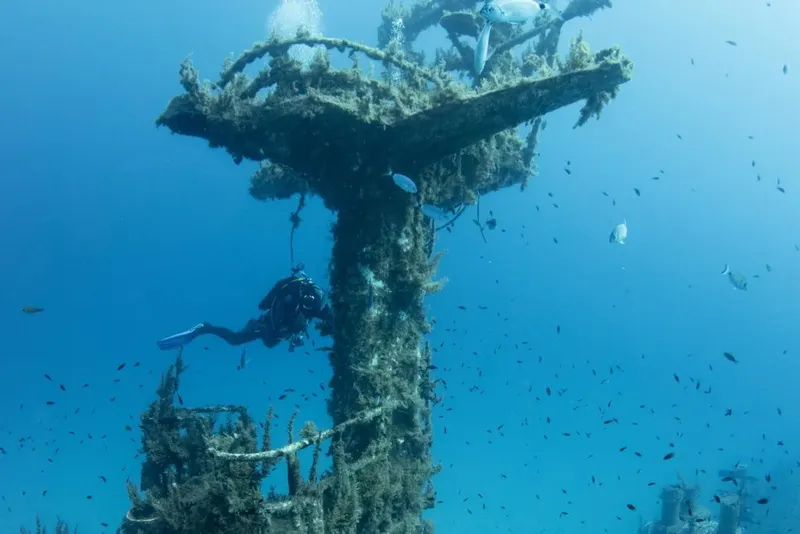 Plongeur explorant une épave métallique colonisée par la vie marine