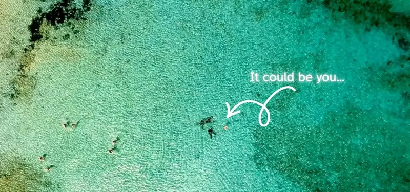 Vue aérienne de plongeurs dans une eau turquoise et claire