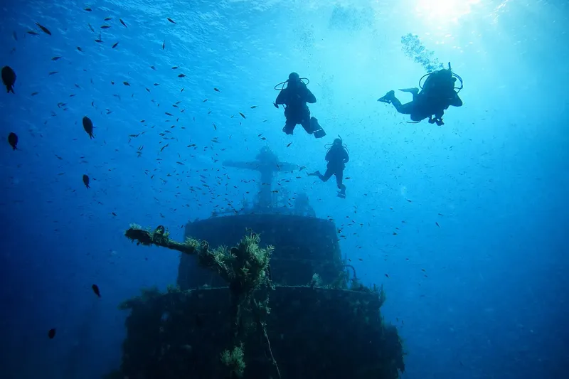 Trois plongeurs explorent une épave colonisée par la vie marine