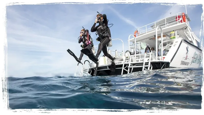 Deux plongeurs sautent d'un bateau de plongée en pleine mer