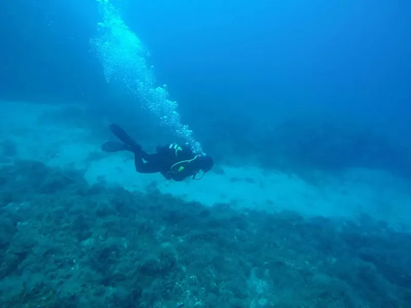 Plongeur en combinaison noire explorant les fonds marins bleus