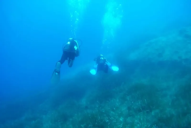 Deux plongeurs explorent un fond marin bleu avec de la végétation