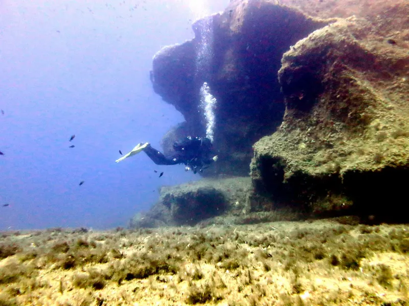 Plongeur explorant une paroi rocheuse sous-marine avec des poissons