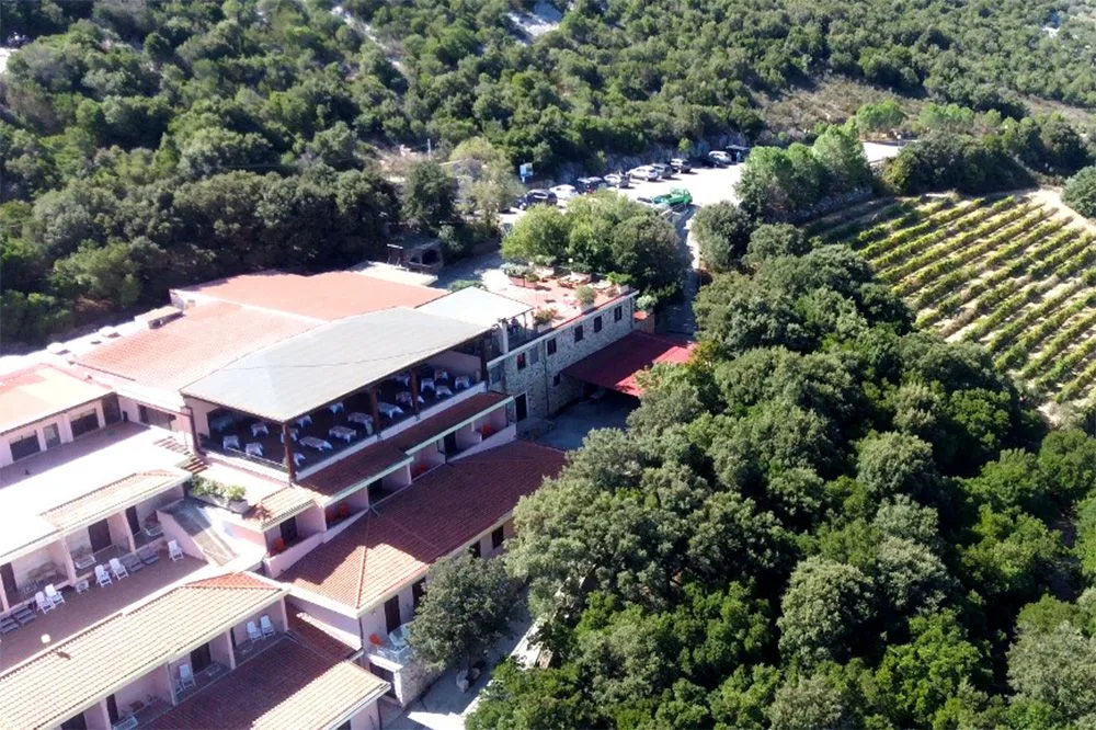 Argonauta Cala Gonone