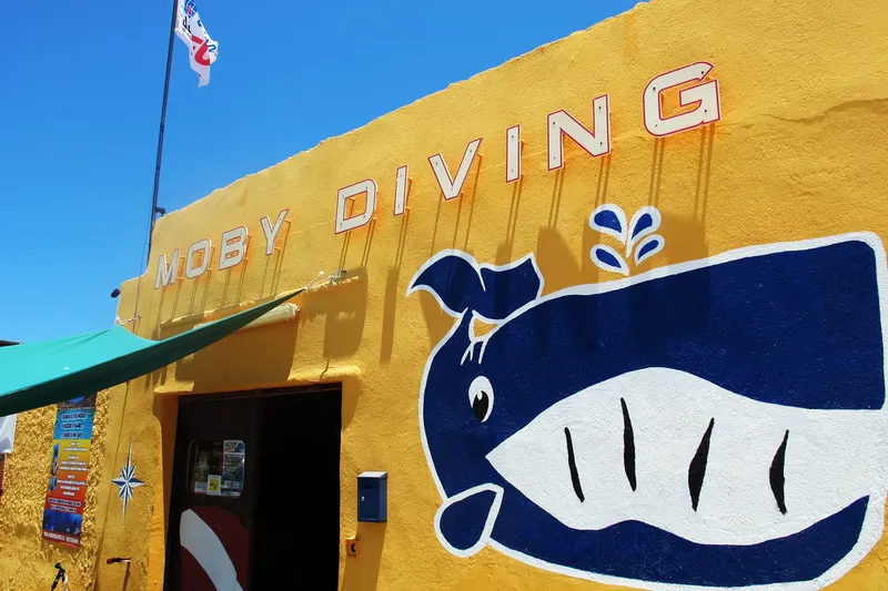 Façade jaune d'un centre de plongée avec une baleine peinte