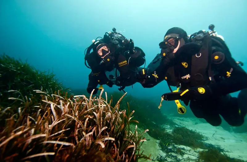 Deux plongeurs explorent les fonds marins avec de la posidonie