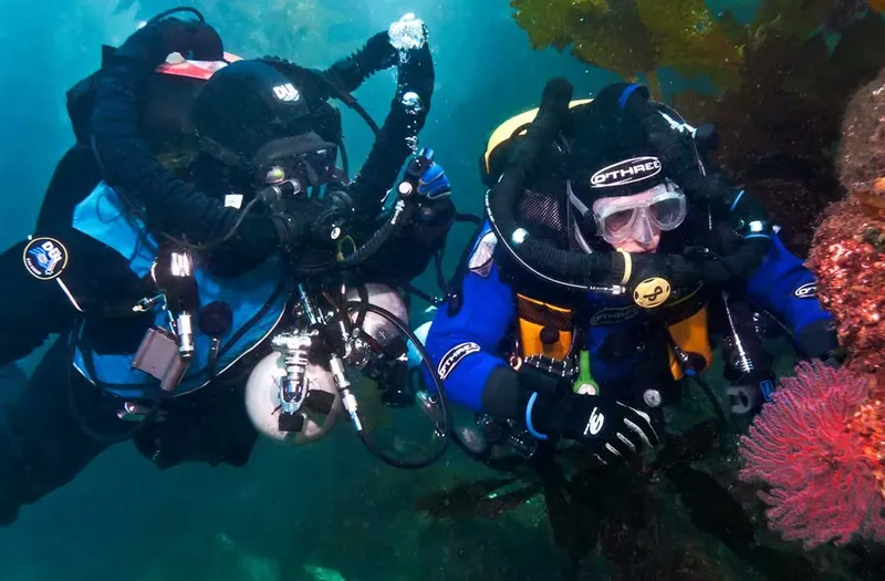 Deux plongeurs en combinaison explorent un récif sous-marin bleu