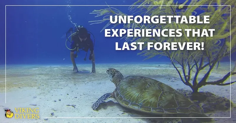 Plongeur et tortue marine évoluent dans un paysage sous-marin sablonneux