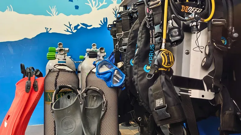 Equipement de plongée complet : bouteilles, détendeurs, gilet et masque