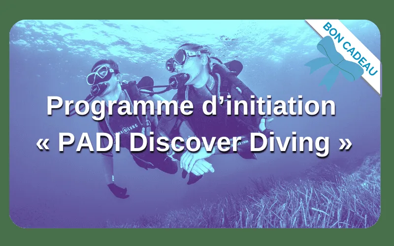 Deux plongeurs débutants explorent les fonds marins, initiation PADI Discover Diving