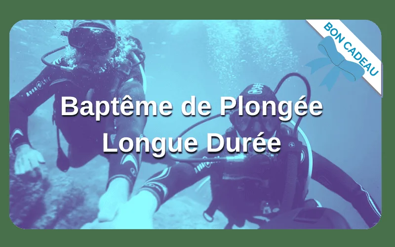 Deux plongeurs en combinaison explorent les fonds marins, baptême de plongée