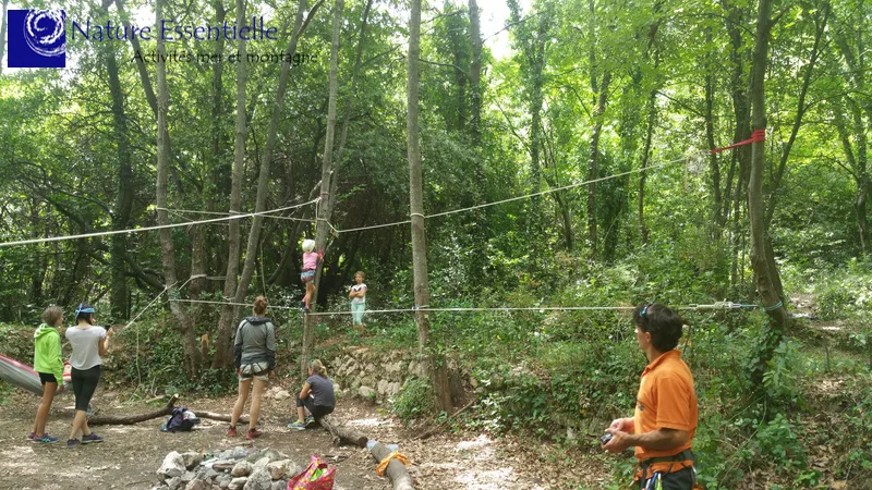 Groupe de personnes sur un parcours d'accrobranche en forêt verdoyante