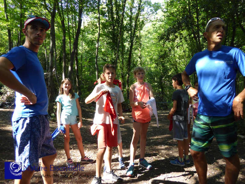 Groupe de jeunes et deux adultes en forêt, regardant vers le haut