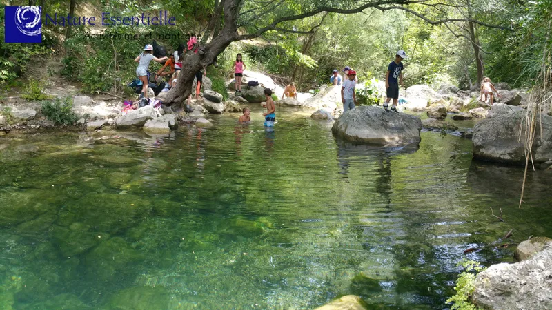 Groupe de personnes se baignant et s'amusant dans une rivière claire