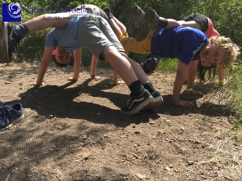 Groupe d'enfants faisant des pompes en forêt, activité ludique