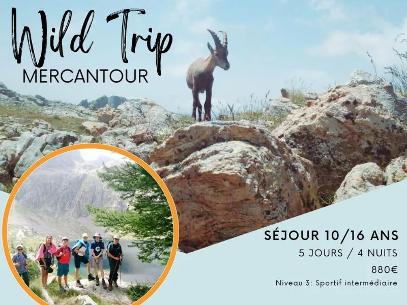 Groupe de jeunes randonneurs en montagne avec un chamois en arrière-plan